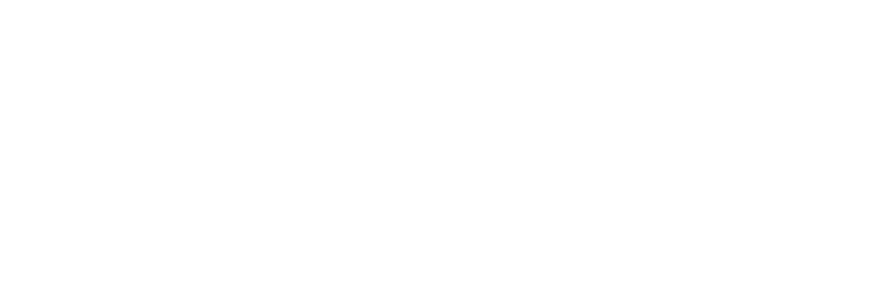 Zinea USA